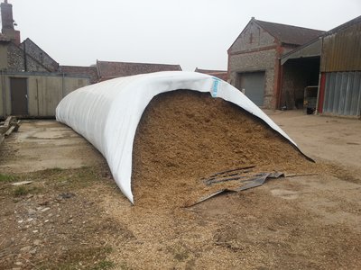 Maize 10ft diameter bag