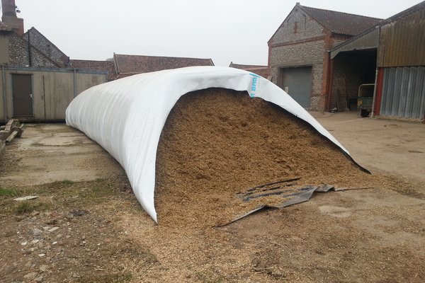 Maize 10ft diameter bag