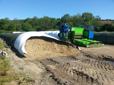 Maize bags 10ft diameter