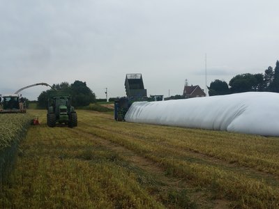 Bagging wholecrop for an AD plant