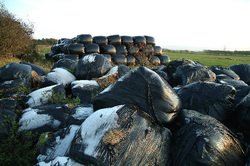 Silage bales