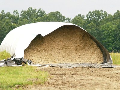14ft diameter maize bag